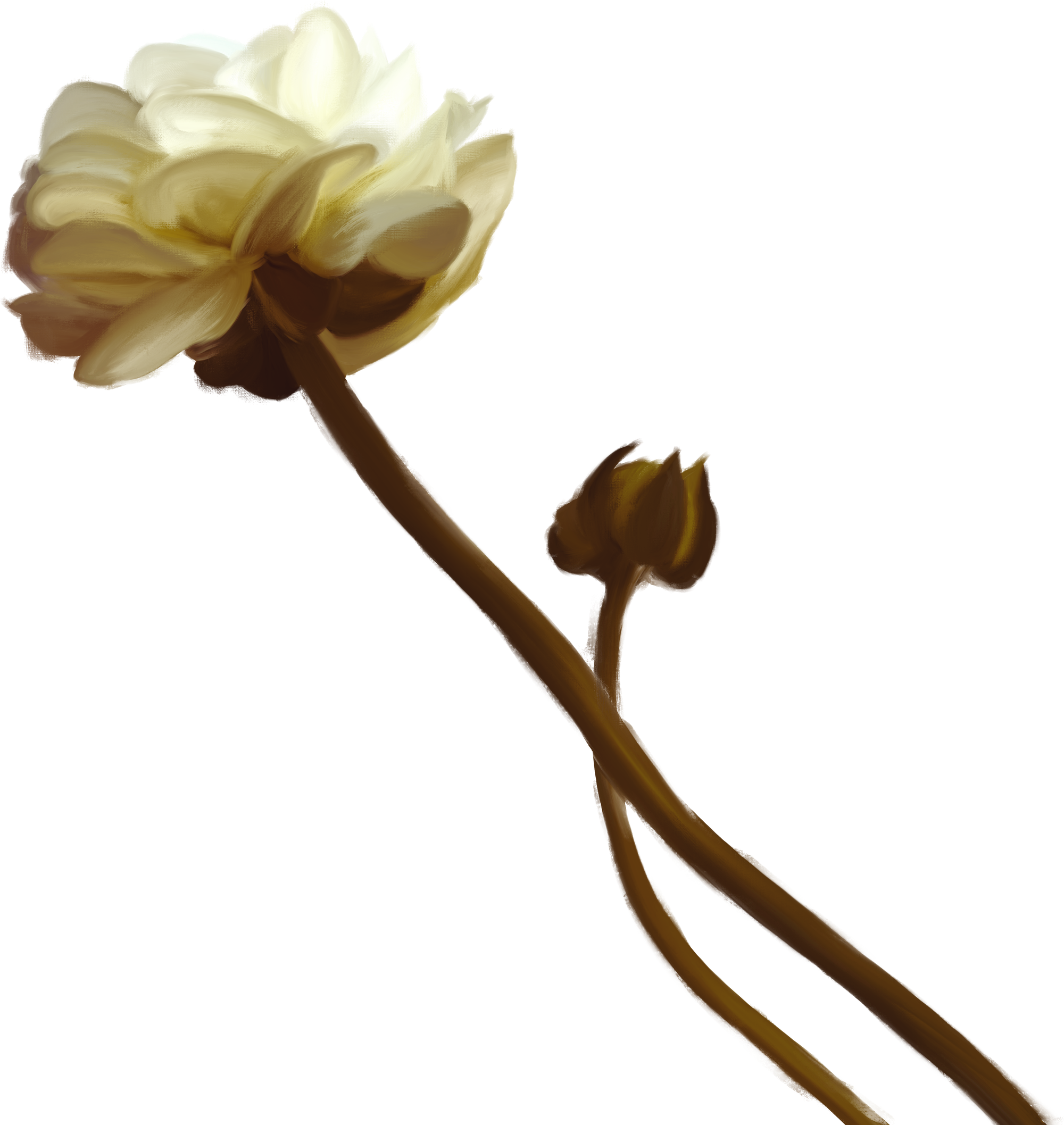 Bloom Immersive Experience Flower in white, pink, and red