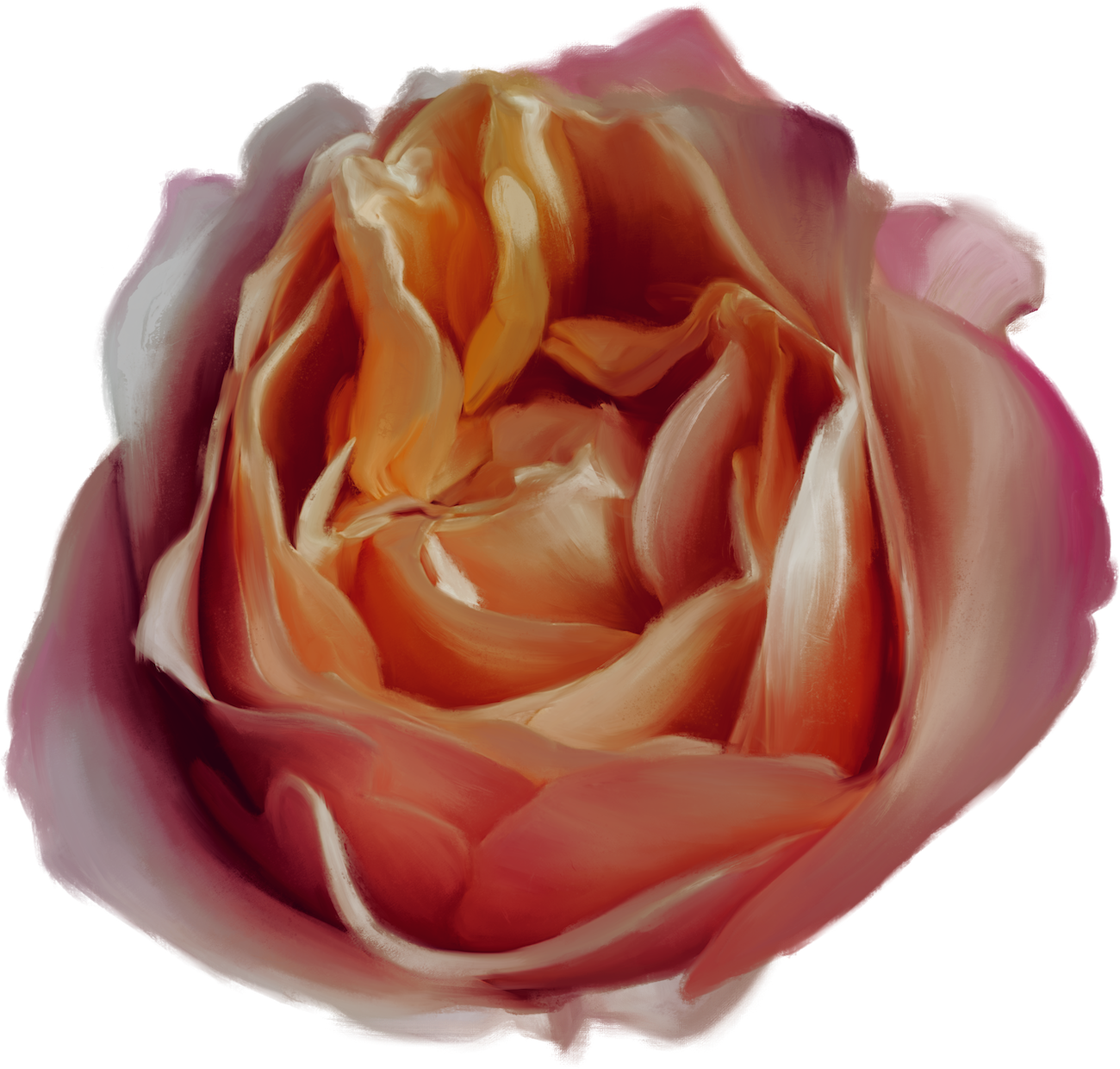 Bloom Immersive Experience Flower in white, pink, and red