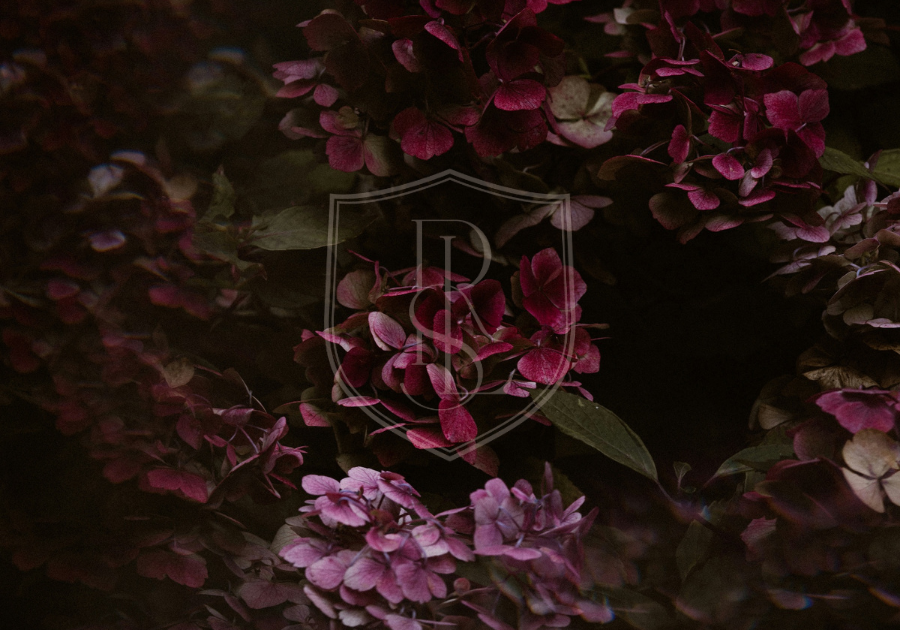 Case Study: Embracing Transformation for Sustainable Business Growth