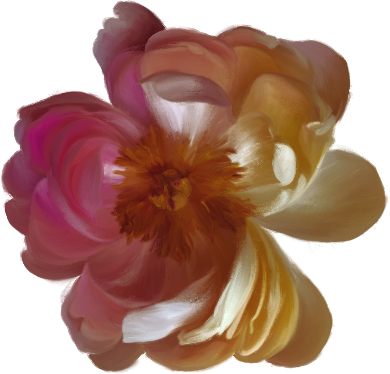 Bloom Immersive Experience Flower in white, pink, and red