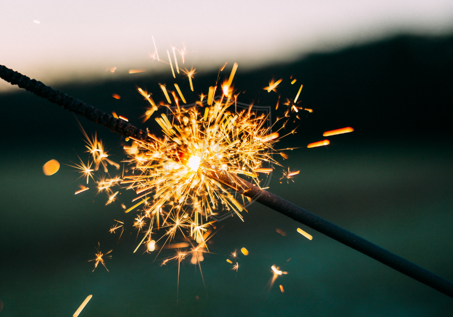 Case Study: Bringing professional corruption to light in a High-Profile, Billionaire Divorce Case