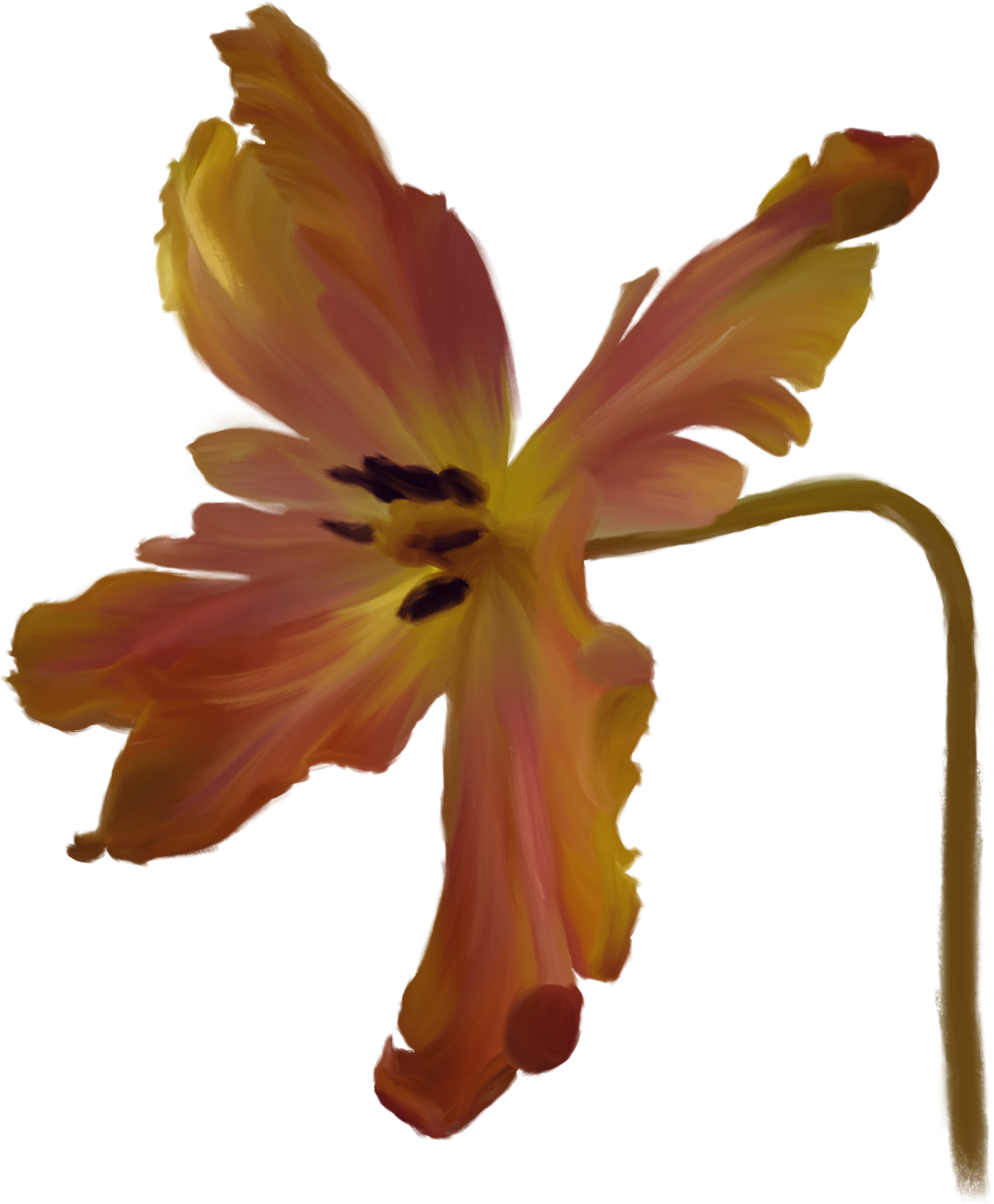 Bloom Immersive Experience Flower in white, pink, and red