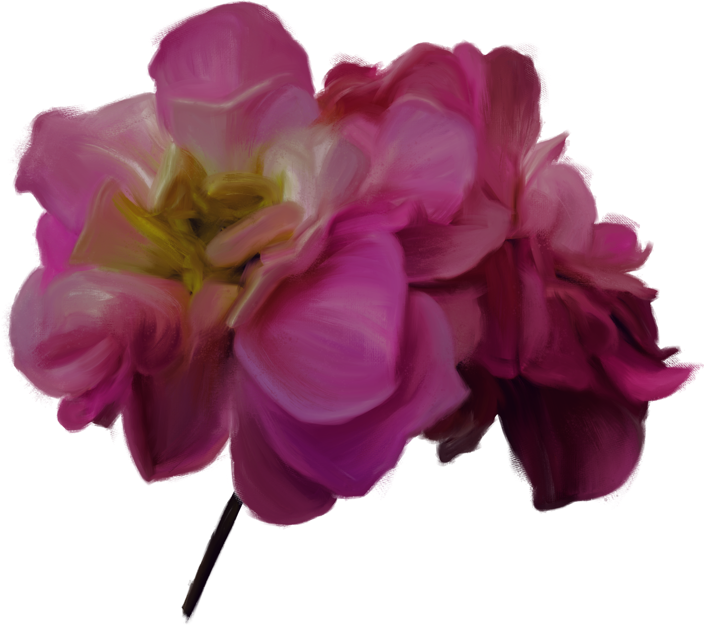 Bloom Immersive Experience Flower in white, pink, and red