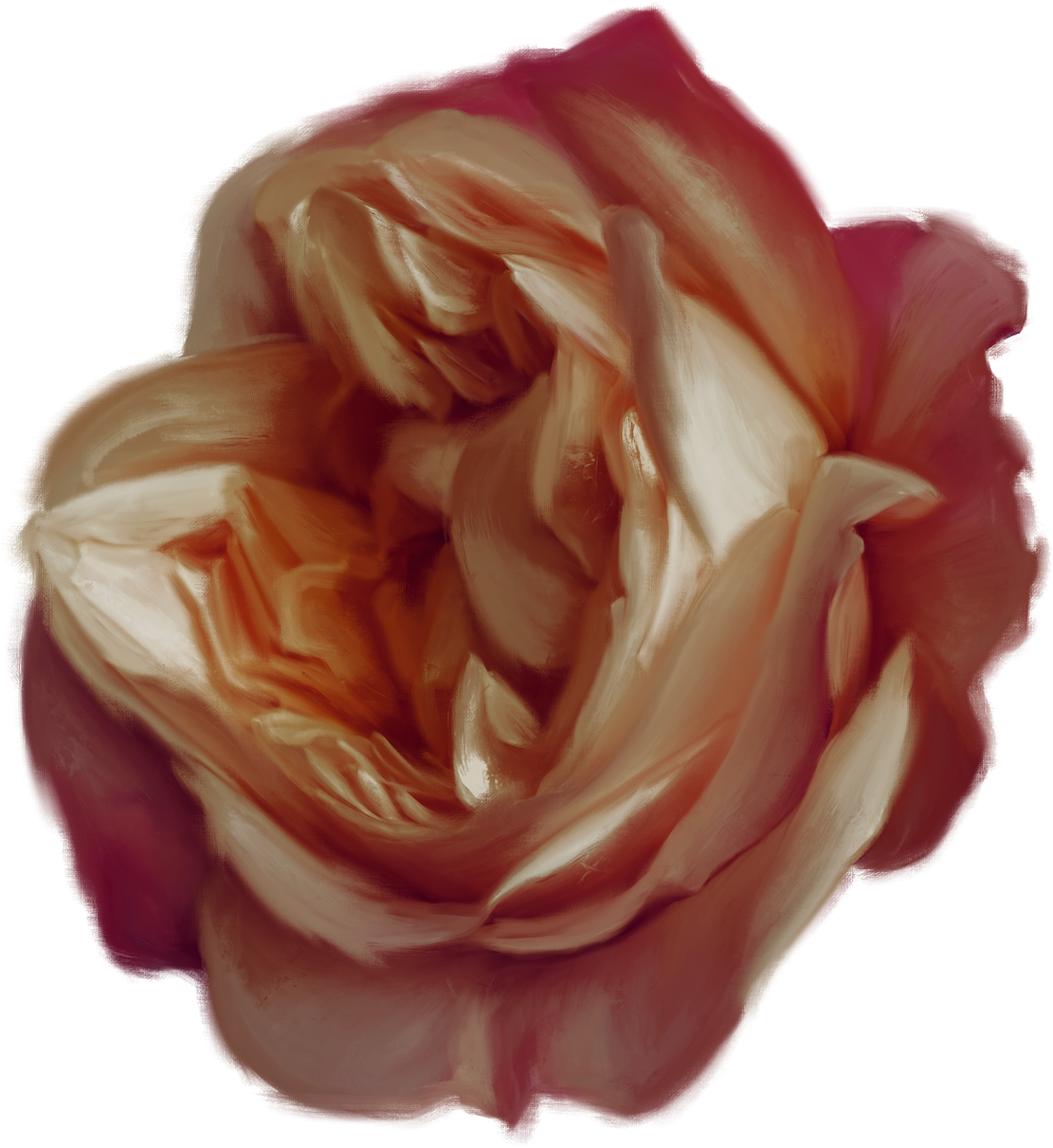 Bloom Immersive Experience Flower in white, pink, and red