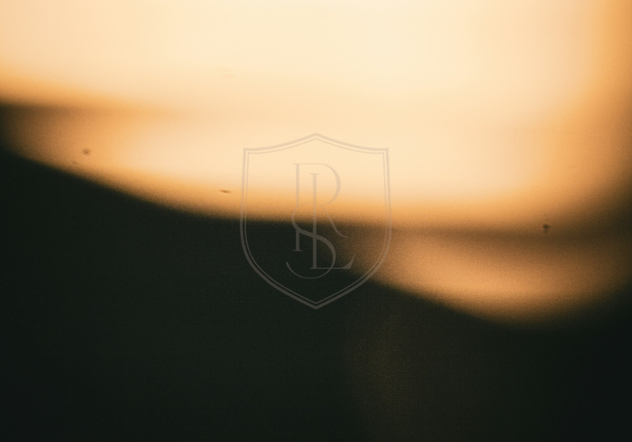 Case Study: Cultivating a Private Digital Identity for a High-Profile Entrepreneur