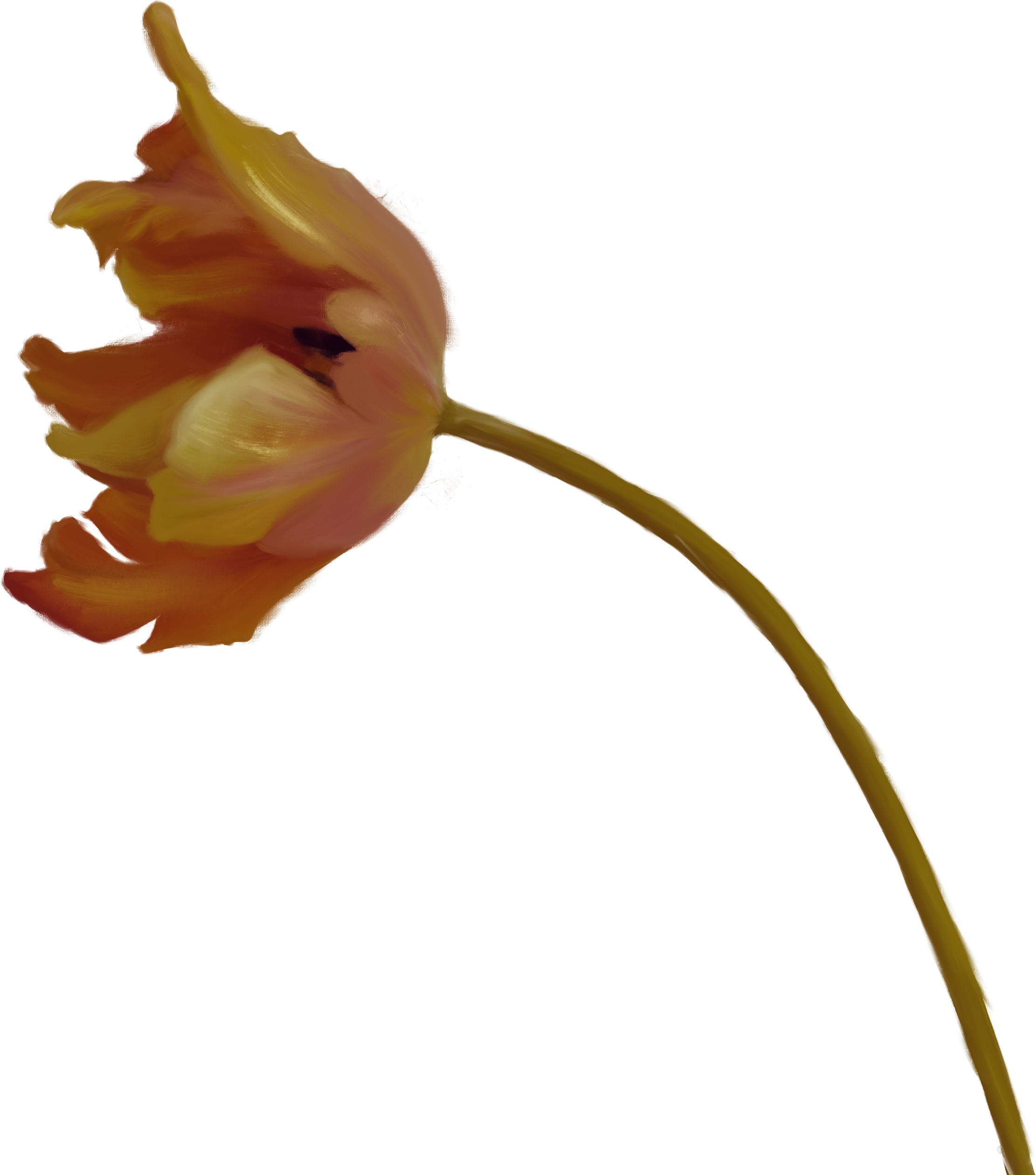 Bloom Immersive Experience Flower in white, pink, and red