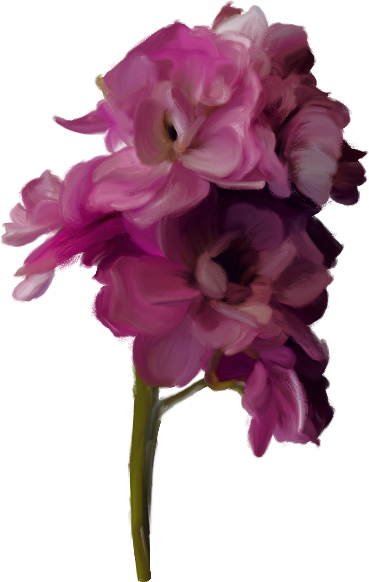 Bloom Immersive Experience Flower in white, pink, and red